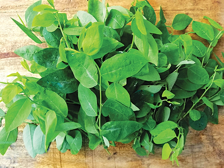 bữa ăn  người Việt