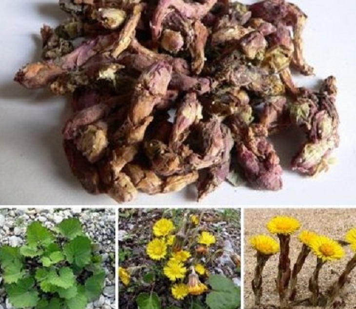 Trị bệnh viêm thanh quản theo Đông y