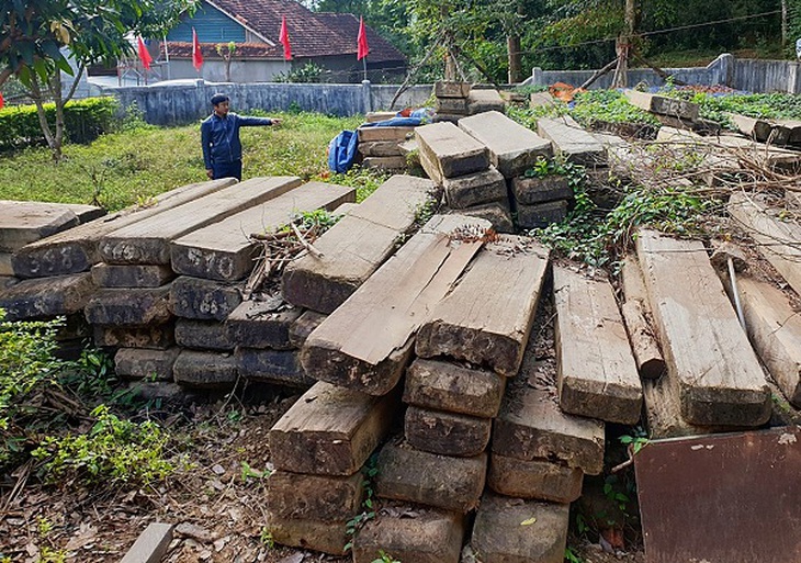 Gỗ quý 