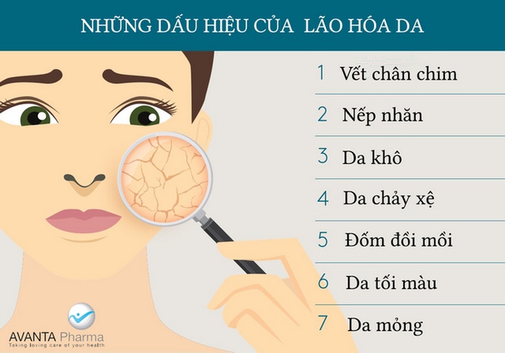 Lão hóa da và các vấn đề thường gặp 