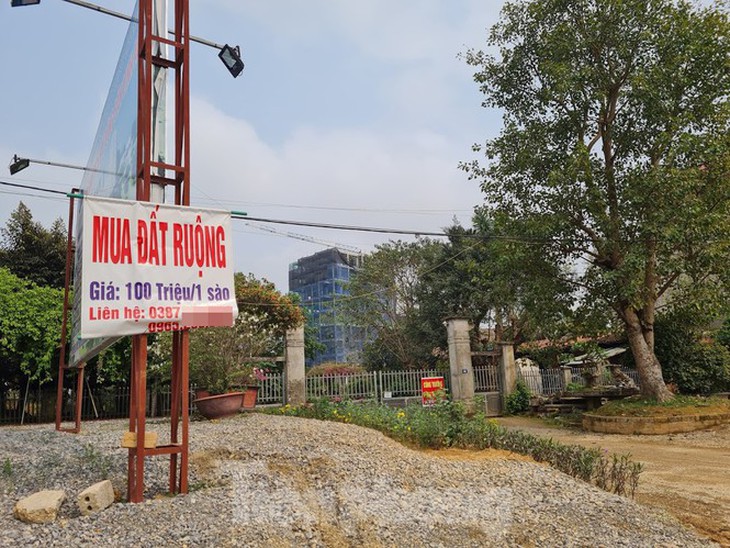 Rao bán đất rừng, đất ruộng công khai, bất chấp quy định 