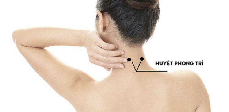 huyet-phong-tri-1