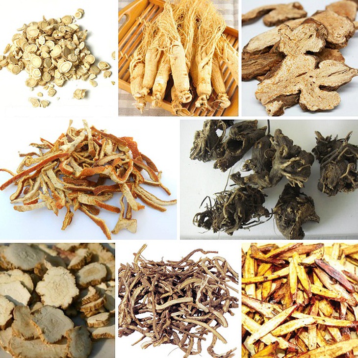 bo-trung-ich-khi