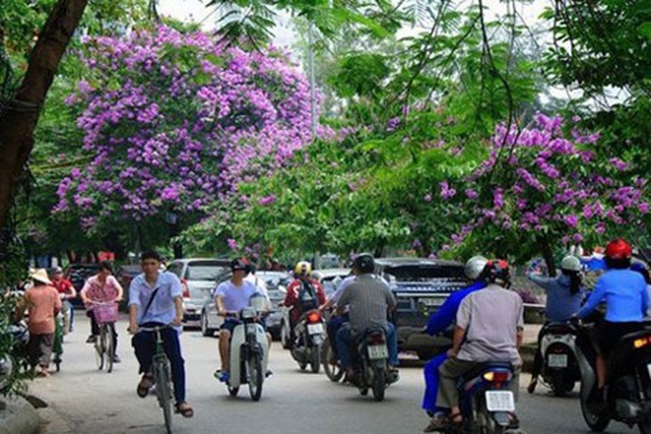 mát mẻ