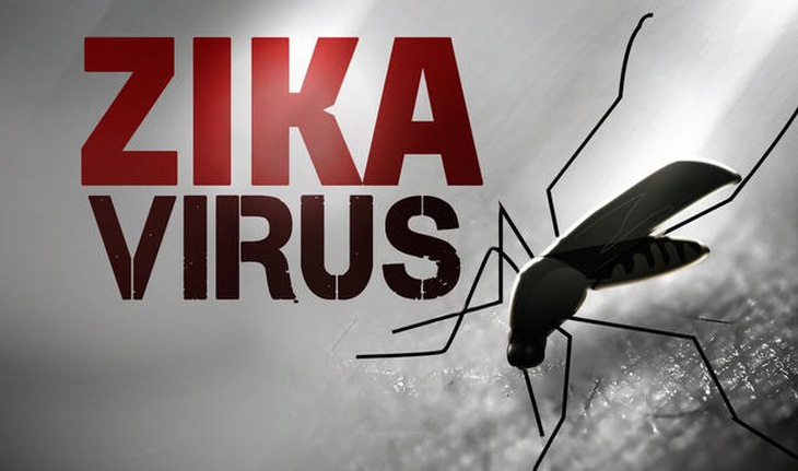 virus zika