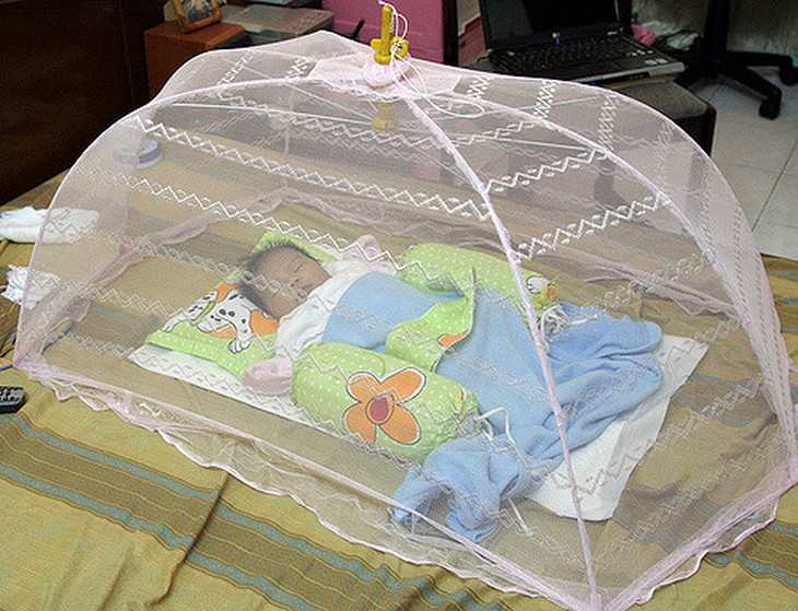 zika, mac man phong ngua muoi dot de phong benh zika