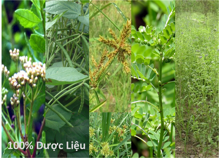 Bốc hỏa trong người là một hiện tượng thường gặp ở phụ nữ độ tuổi tiền mãn kinh. Vậy làm thế nào để hết bốc hỏa nhanh chóng và hiệu quả?
