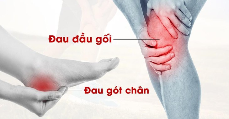 Lót giày y khoa Spenco hỗ trợ trị đau gót chân và đầu gối- Ảnh 1.