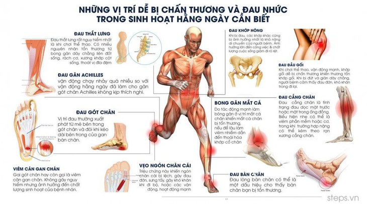 Lót giày y khoa Spenco hỗ trợ trị đau gót chân và đầu gối- Ảnh 2.