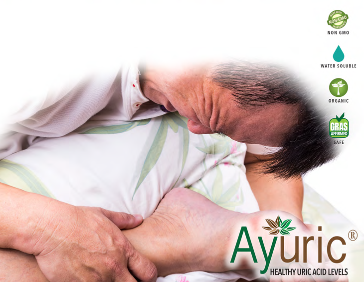 Ayuric® - Giải pháp mới giúp hạ acid uric máu hiệu quả- Ảnh 1.