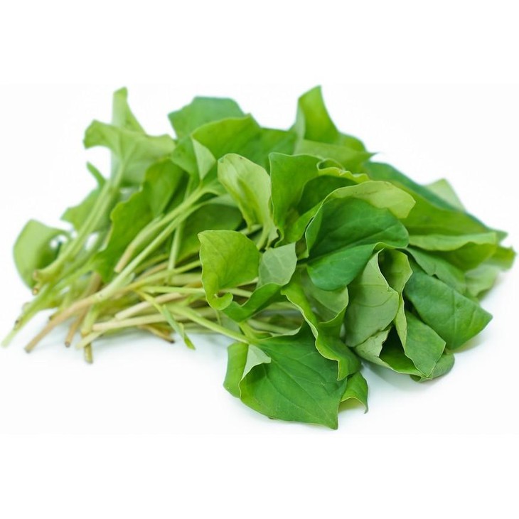 Tìm hiểu về rau diếp cá