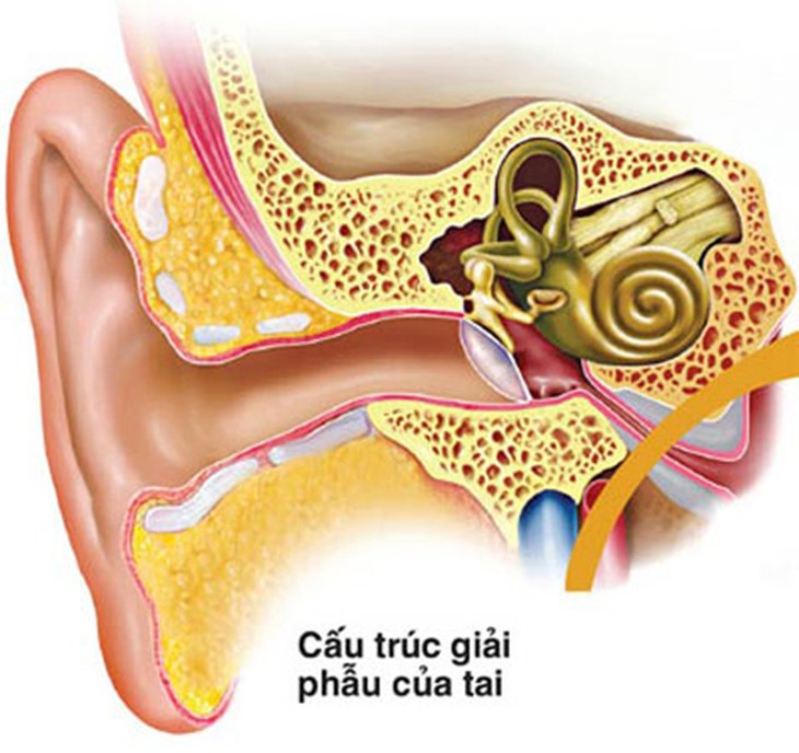 Cách phòng ngừa rối loạn tiền đình 1