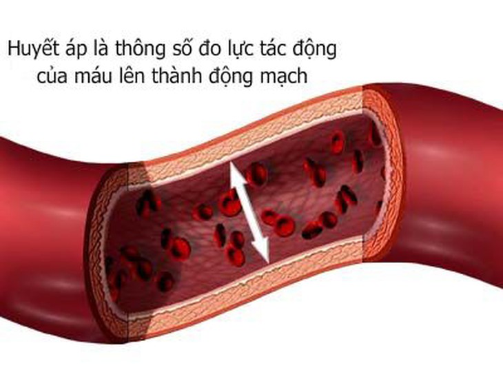 Dinh dưỡng kiểm soát huyết áp 1