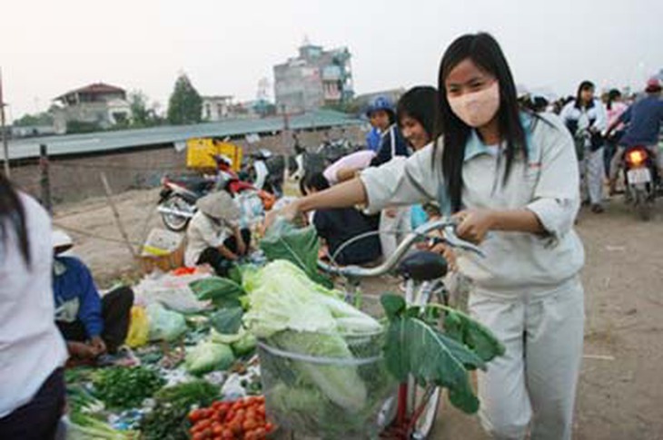 Lao động tự do: Nỗi lo thiếu việc, “treo niêu” 2