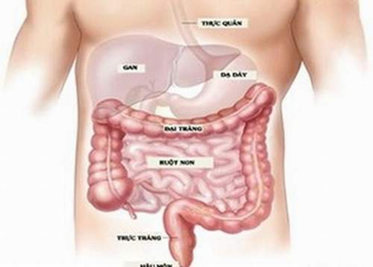 Chớ xem thường hội chứng ruột kích thích 1