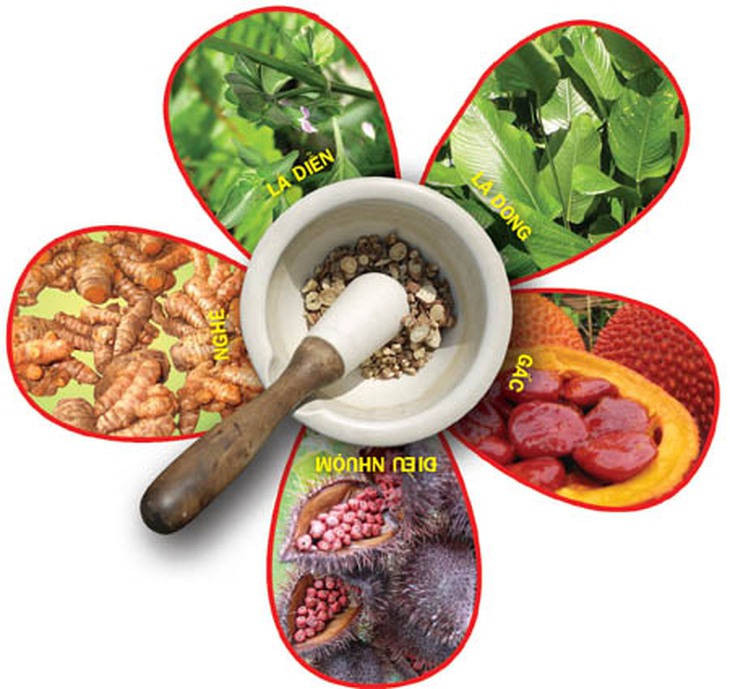 Cây thuốc có chất màu thực vật 1