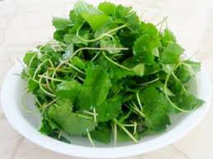 Kinh nghiệm dân gian chữa bệnh bằng rau má 1