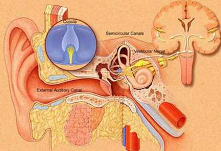 Ðiều trị rối loạn tiền đình 1