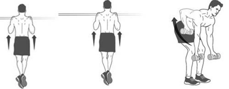 Tập luyện sức mạnh cho vai và tay 1