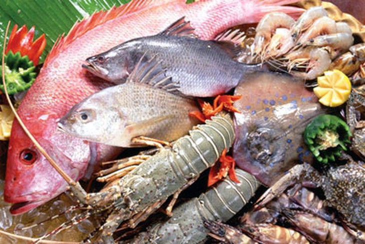 Khỏe mạnh nhờ hải sản 1