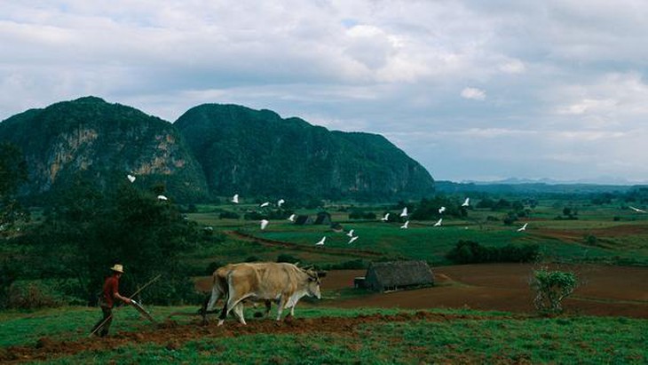 Cuba - Thiên đường hoang dã ở Caribê 4