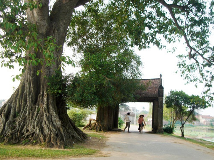 Những vướng mắc ở làng cổ Đường Lâm 1