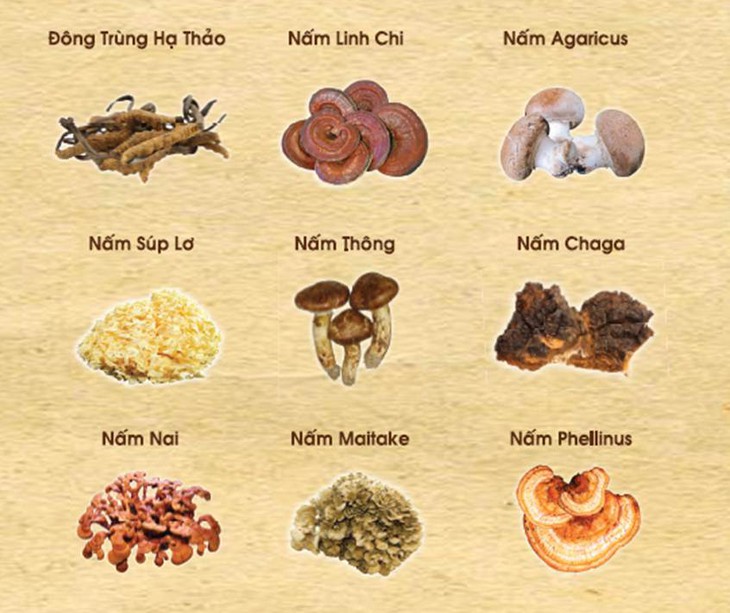 Betaglucan, khắc tinh của tế bào ung thư 1