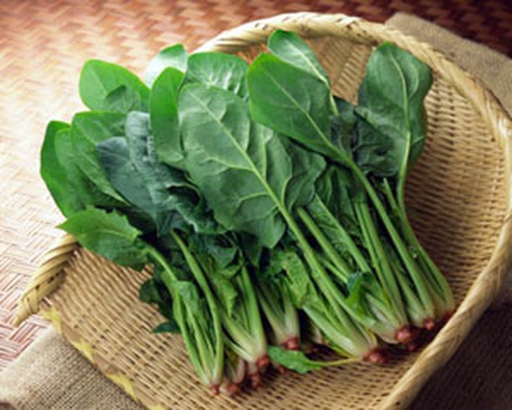 Bài thuốc dưỡng mắt, sáng mắt 1