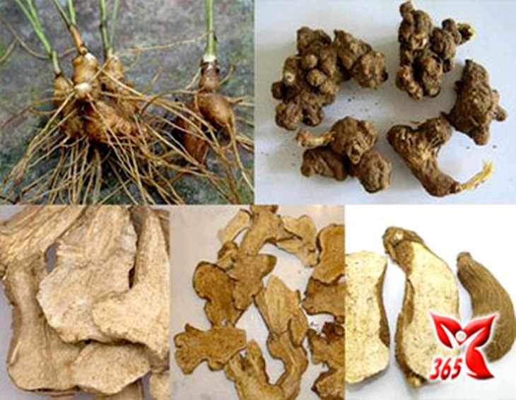 Bài thuốc tăng thêm sức yêu cho quý ông 1