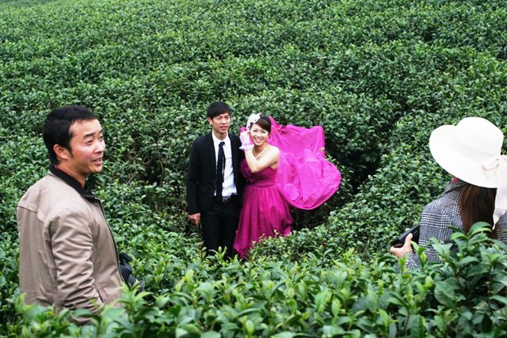 Mãn nhãn với chè xanh, cải trắng ở Mộc Châu 3
