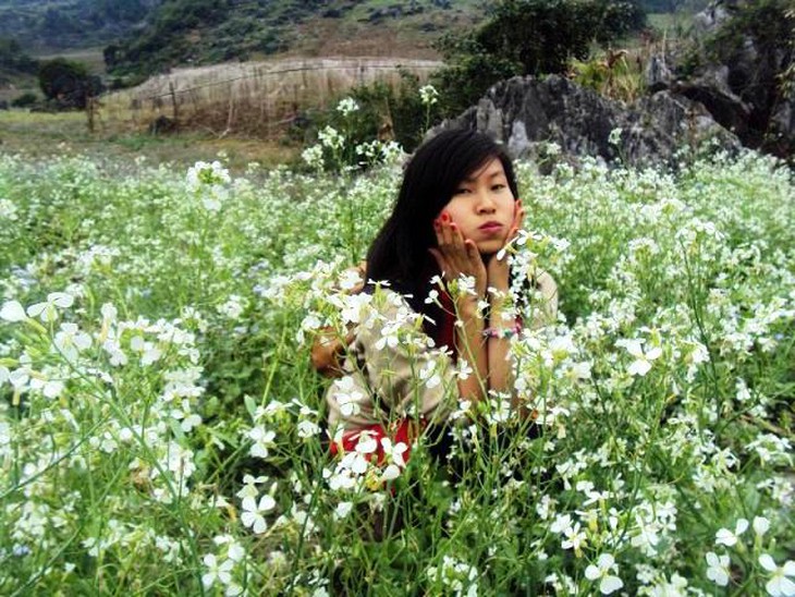 Mãn nhãn với chè xanh, cải trắng ở Mộc Châu 4