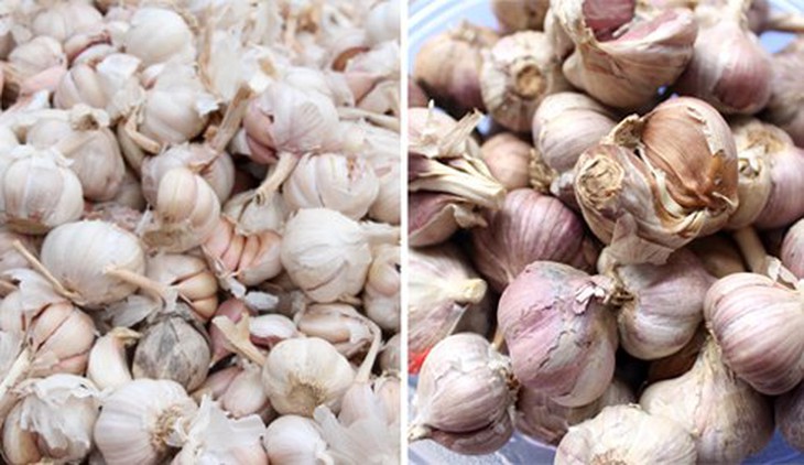 Nhận diện rau củ Trung Quốc  9