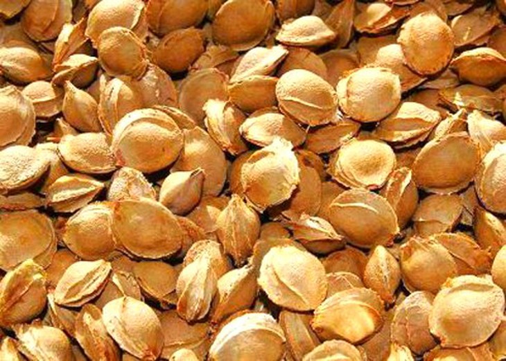 9 thực phẩm ngon miệng chết người 5