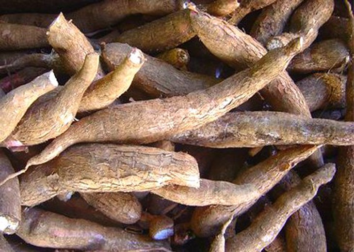 9 thực phẩm ngon miệng chết người 6