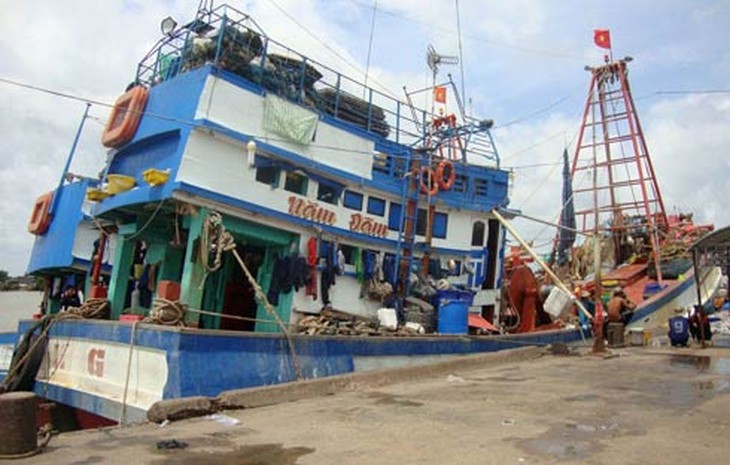 Hít khí độc trong hầm cá, 5 người thương vong 2