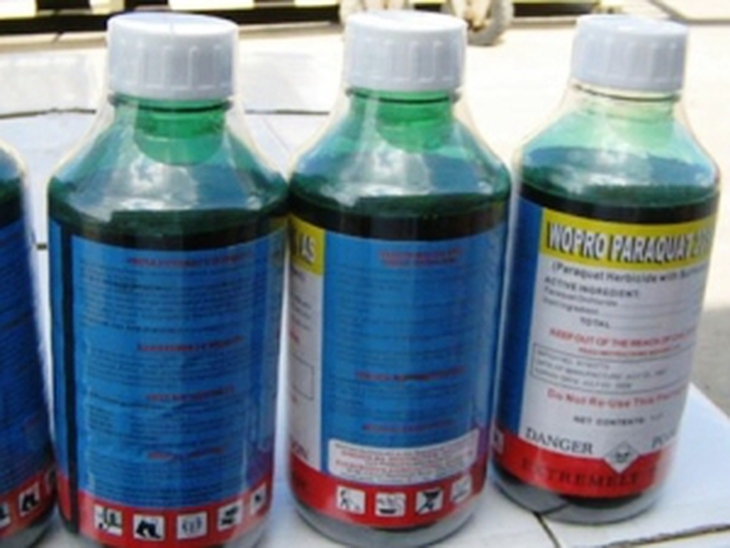 Bị chia tay, đổ thuốc sâu định giết người yêu 1