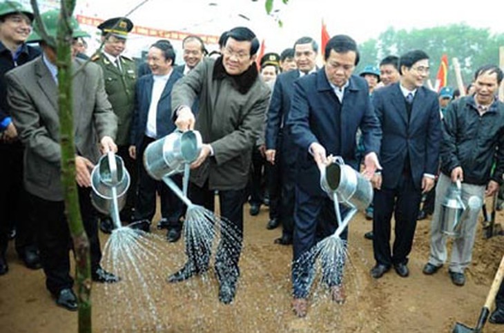 Chủ tịch nước phát động Tết trồng cây năm 2013  1