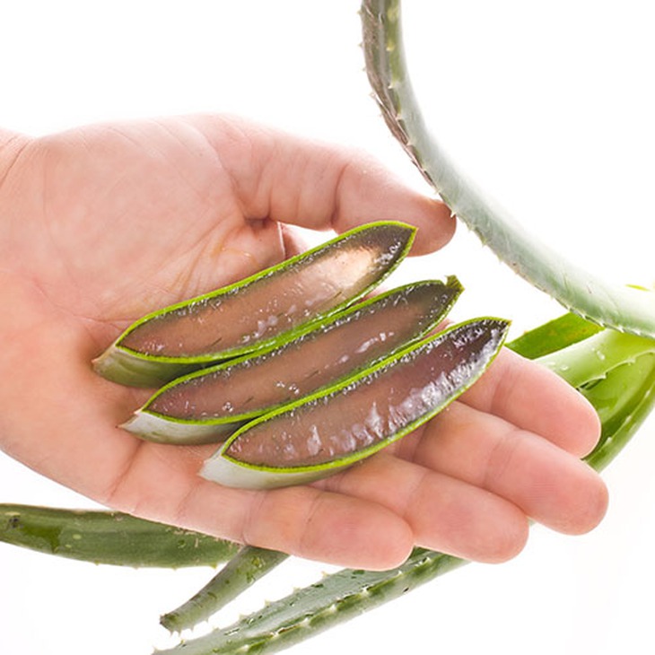 8 công thức làm đẹp với lô hội 1