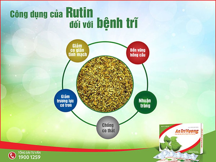 Công dụng của Rutin trong việc hỗ trợ điều trị bệnh trĩ