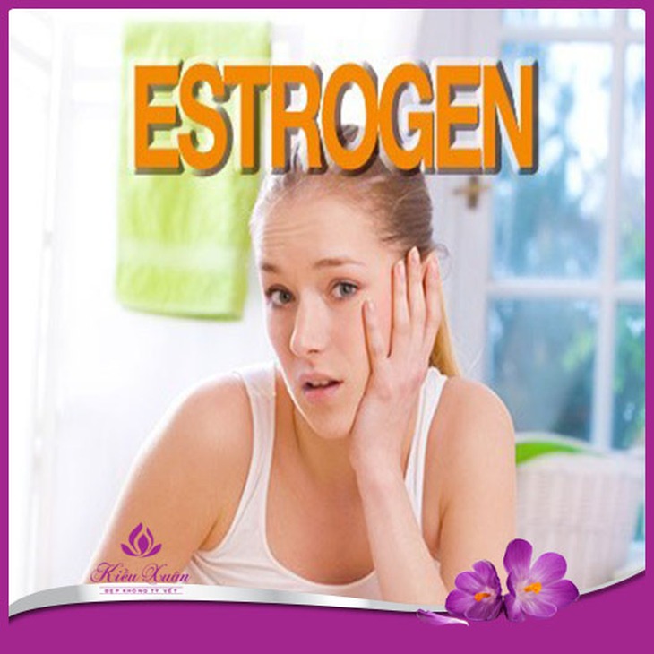 estrogen là gì