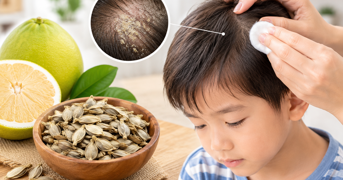 Các bài thuốc dân gian từ hạt bưởi