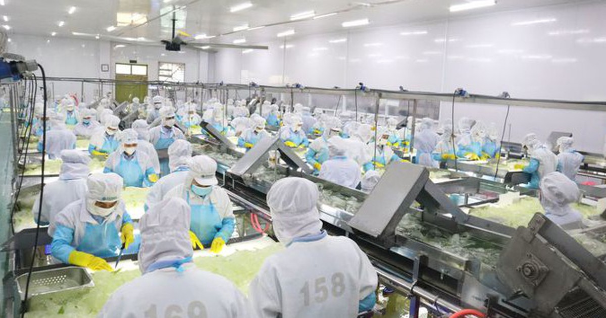 Công ty Cổ phần Thực phẩm G.C bị phạt 425 triệu đồng