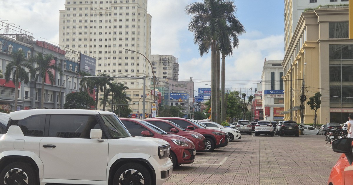 Nghệ An đề xuất thu phí đỗ ô tô tạm thời trên vỉa hè, lòng đường