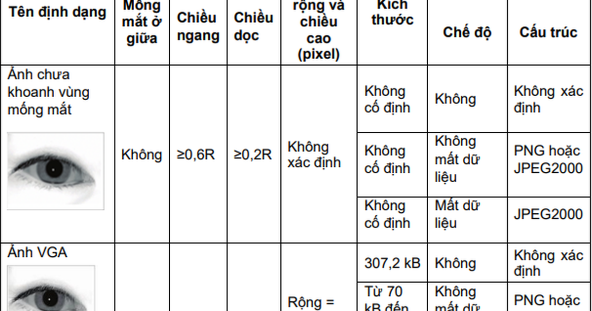 Các yêu cầu bắt buộc đối với việc thu nhận ảnh mống mắt