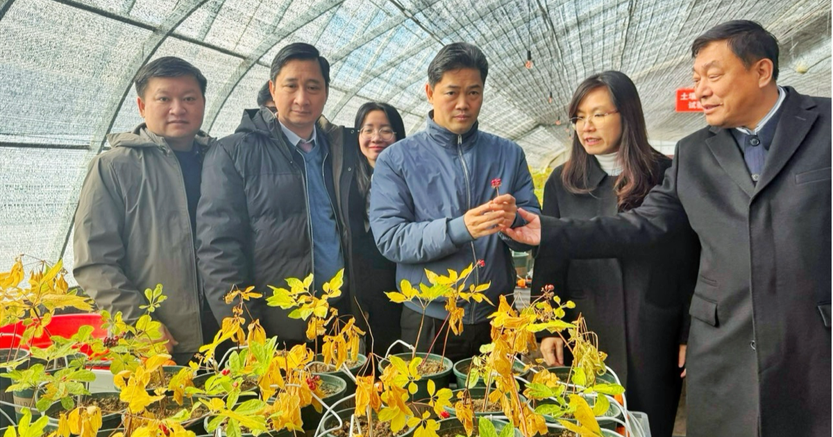 Đoàn công tác Bộ Y tế khảo sát mô hình phát triển dược liệu tại Trung Quốc, thúc đẩy hợp tác đầu tư, nghiên cứu và chuyển giao công nghệ