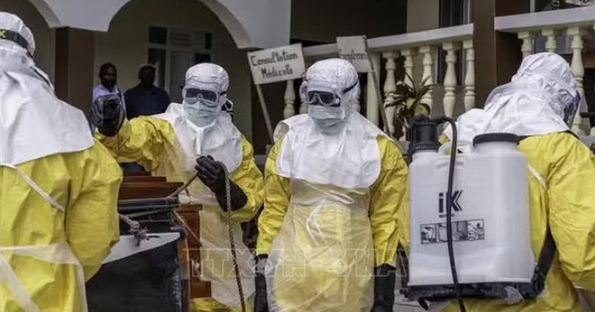Phát hiện mối liên hệ di truyền đầu tiên giữa các đợt bùng phát Ebola tại châu Phi