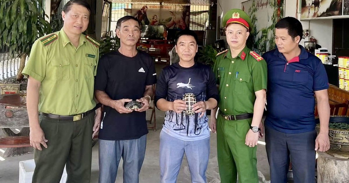 Phát hiện cặp rùa quý hiếm khi cuốc đất trong vườn