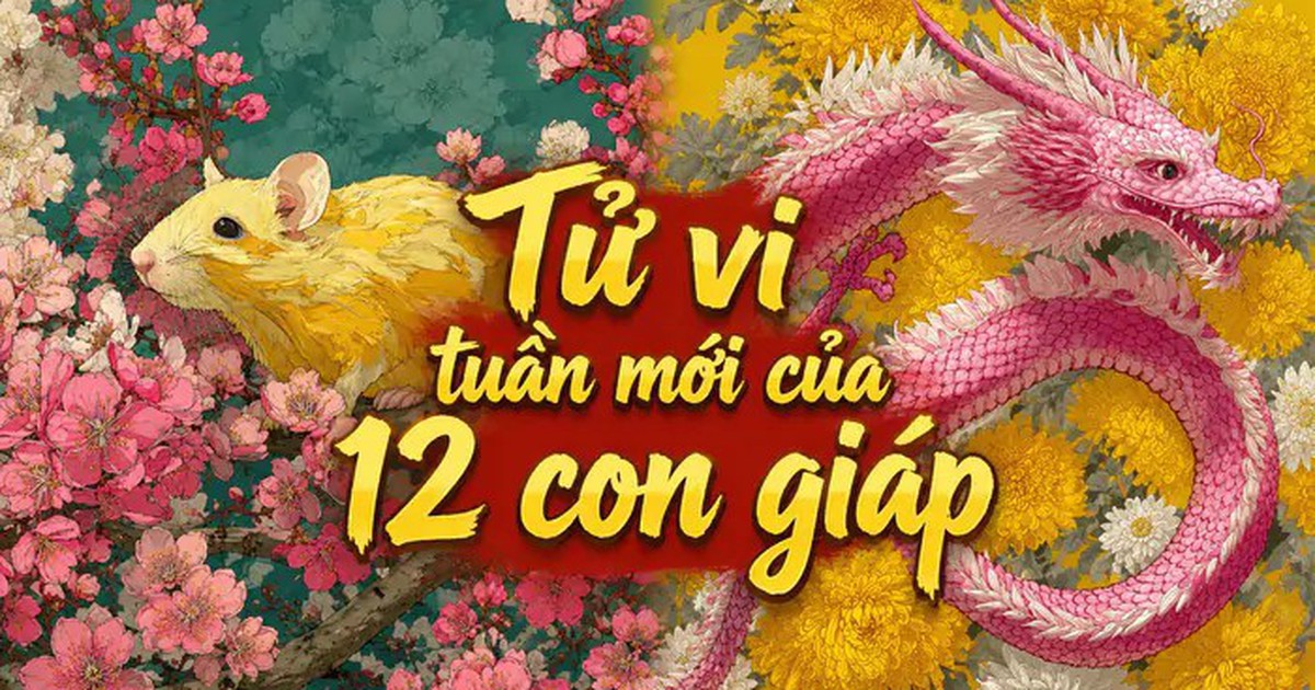 Tử vi tuần mới 12 con giáp từ 26/10-1/11: Tý tẻ nhạt, Mão tài lộc khởi sắc
