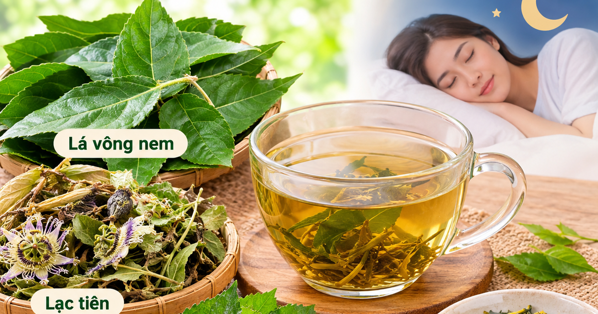 4 bài thuốc từ lá vông nem chữa mất ngủ