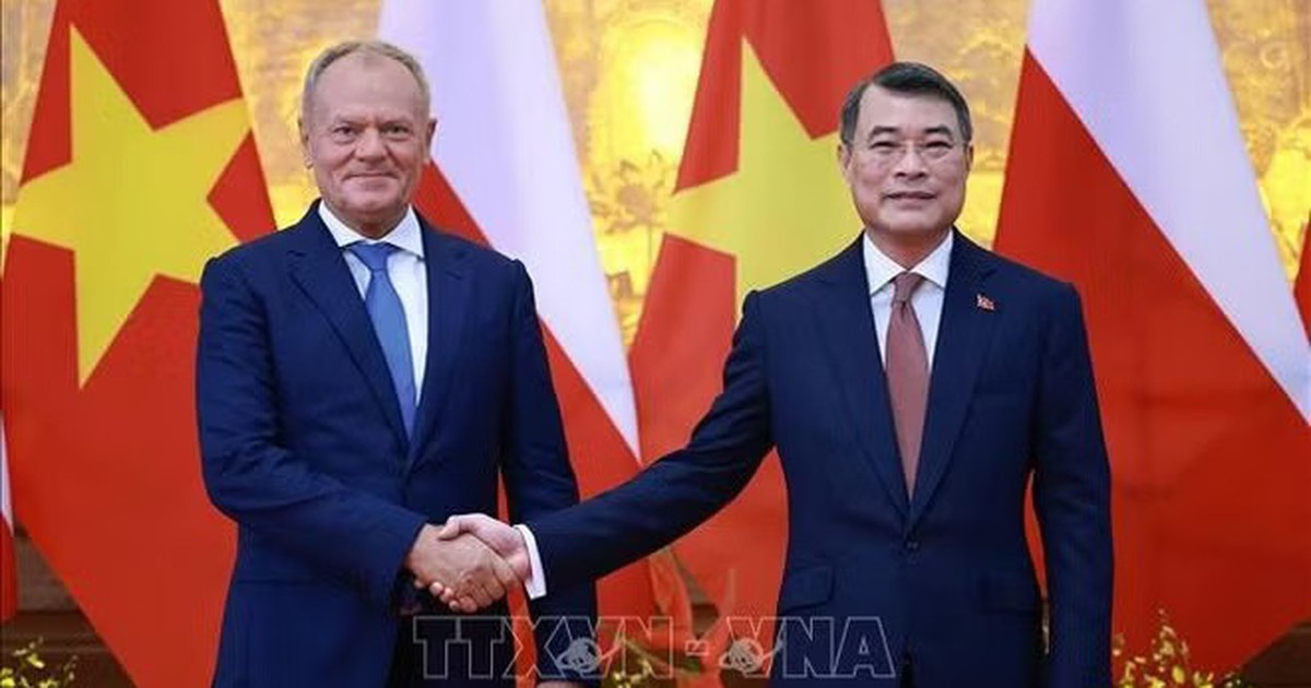 Thủ tướng Lê Minh Hưng hội đàm với Thủ tướng Ba Lan Donald Tusk